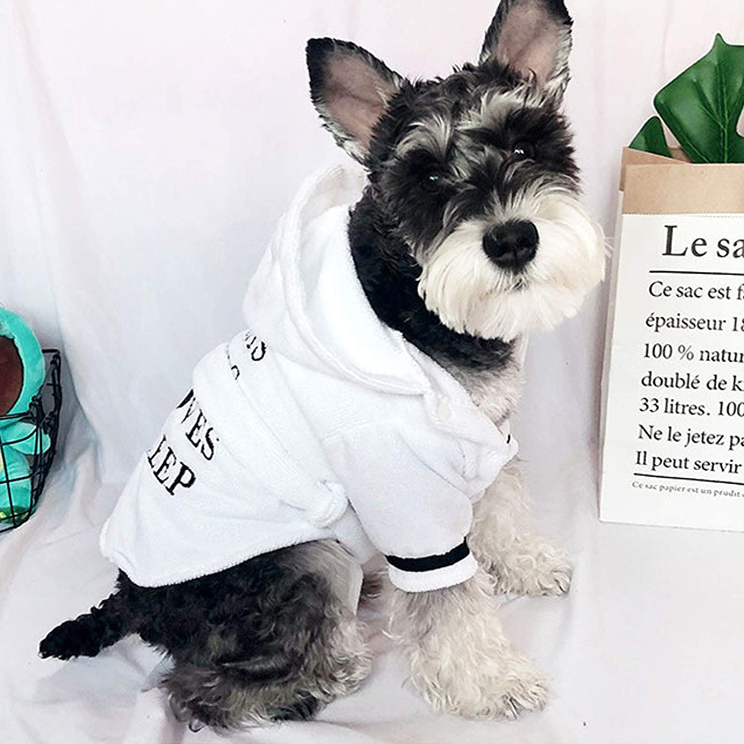 White Pet Bath Robe with Hood and Fun Lettering for Dogs - Image 9