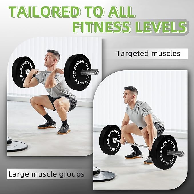 Olympic Bumper Plates Set, 2" Weight Plates for Strength Training & Weightlifting, Paris or Set or Set with Barbell, Multiple Options