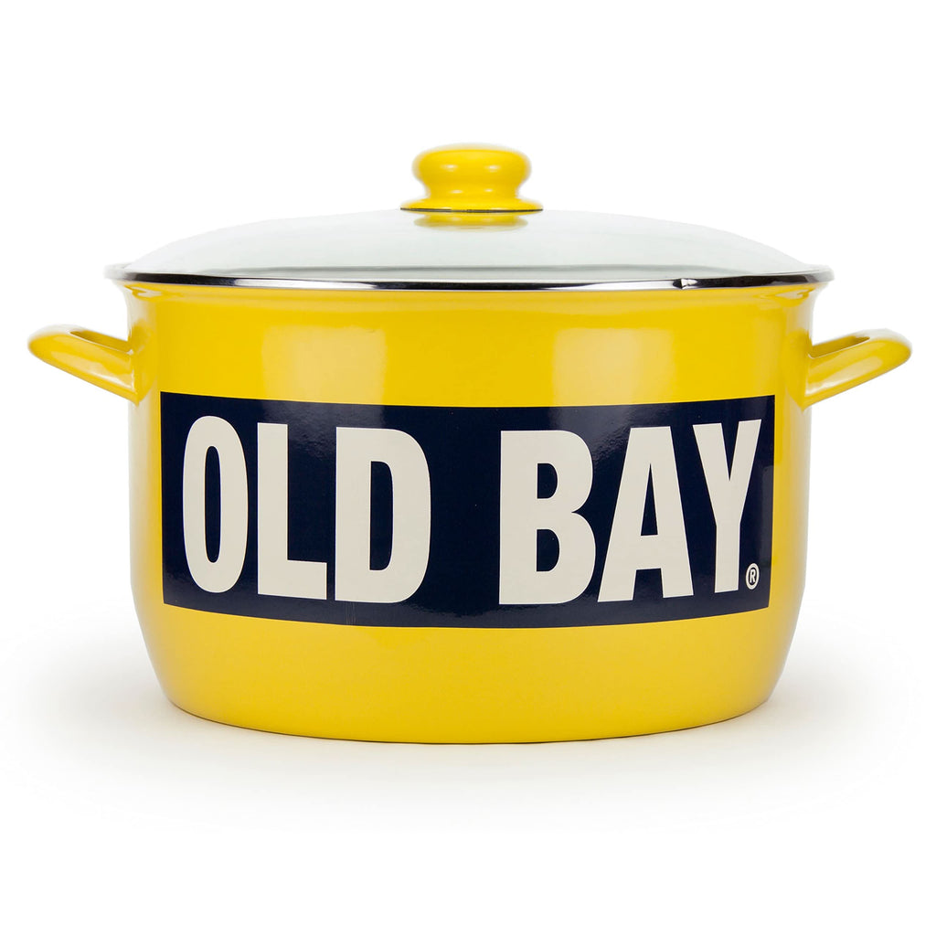 18qt Enamelware Stock Pot with Stainless Steel Trim