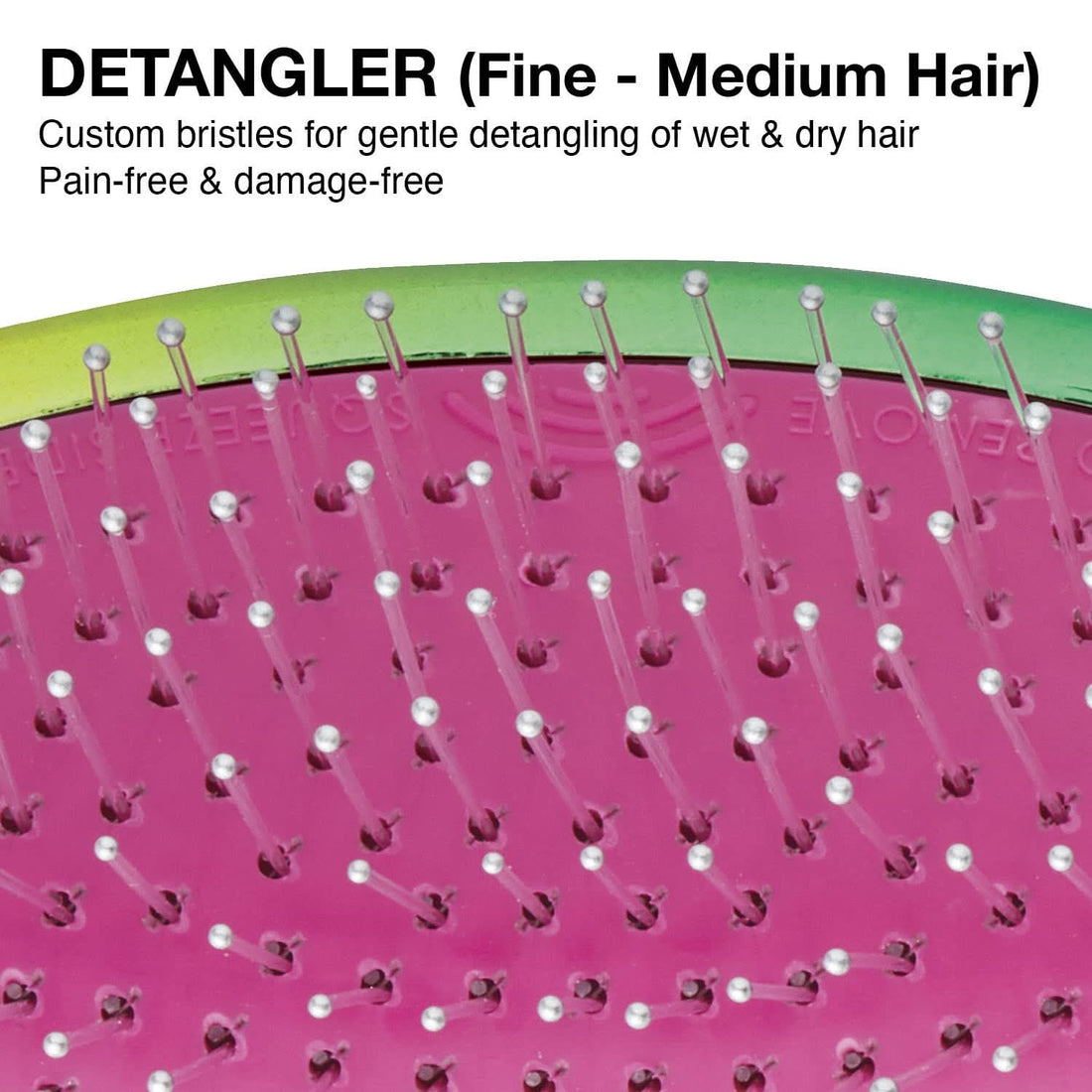 Fine to Medium Hair Detangler Brush with Scalp Massage Bristles