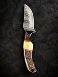 Titan "Shadow Grain" Skinner | High Carbon RASP Steel Blade, Striped Wood Handle TIK-004
