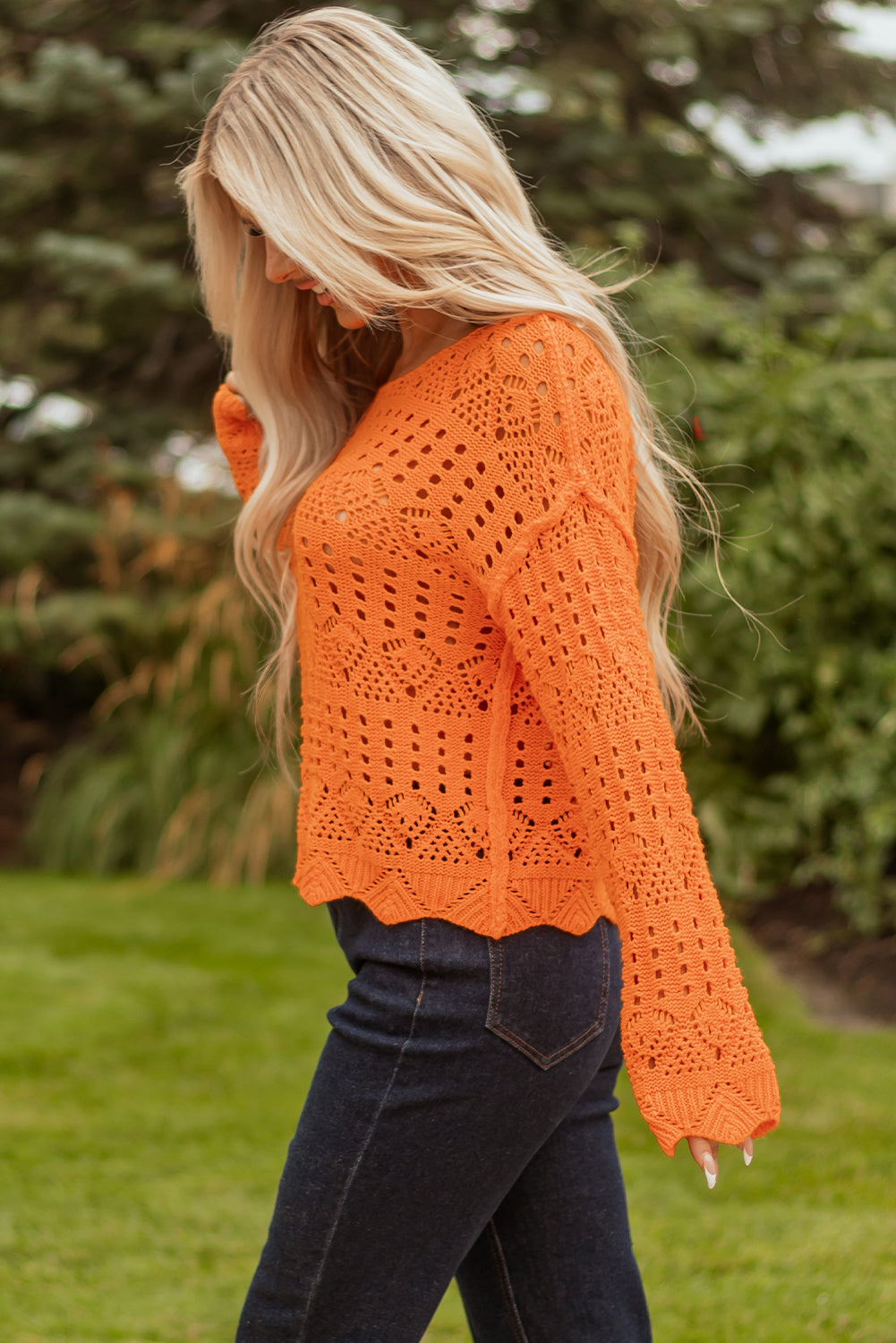 Solid Open Crochet Scallop Edge Sweater