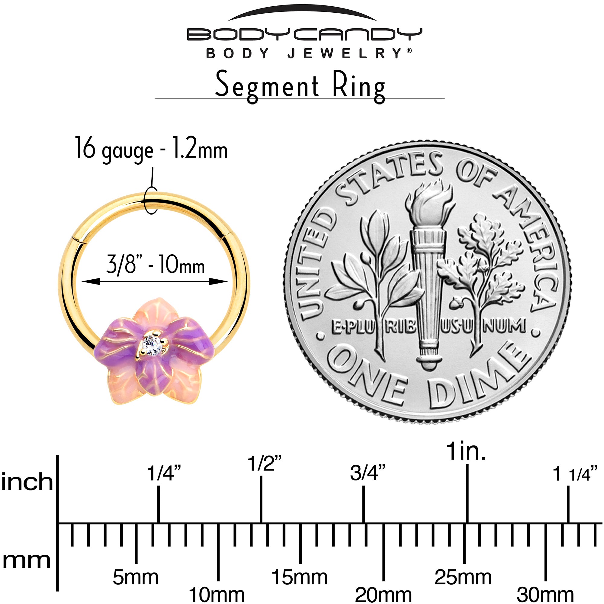 16G 3/8 Clear Gem Gold Tone Pastel Flower Hinged Segment Ring