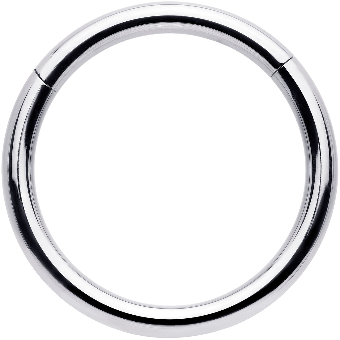 12G 5/8 316L Surgical Steel Precision Hinged Segment Hoop