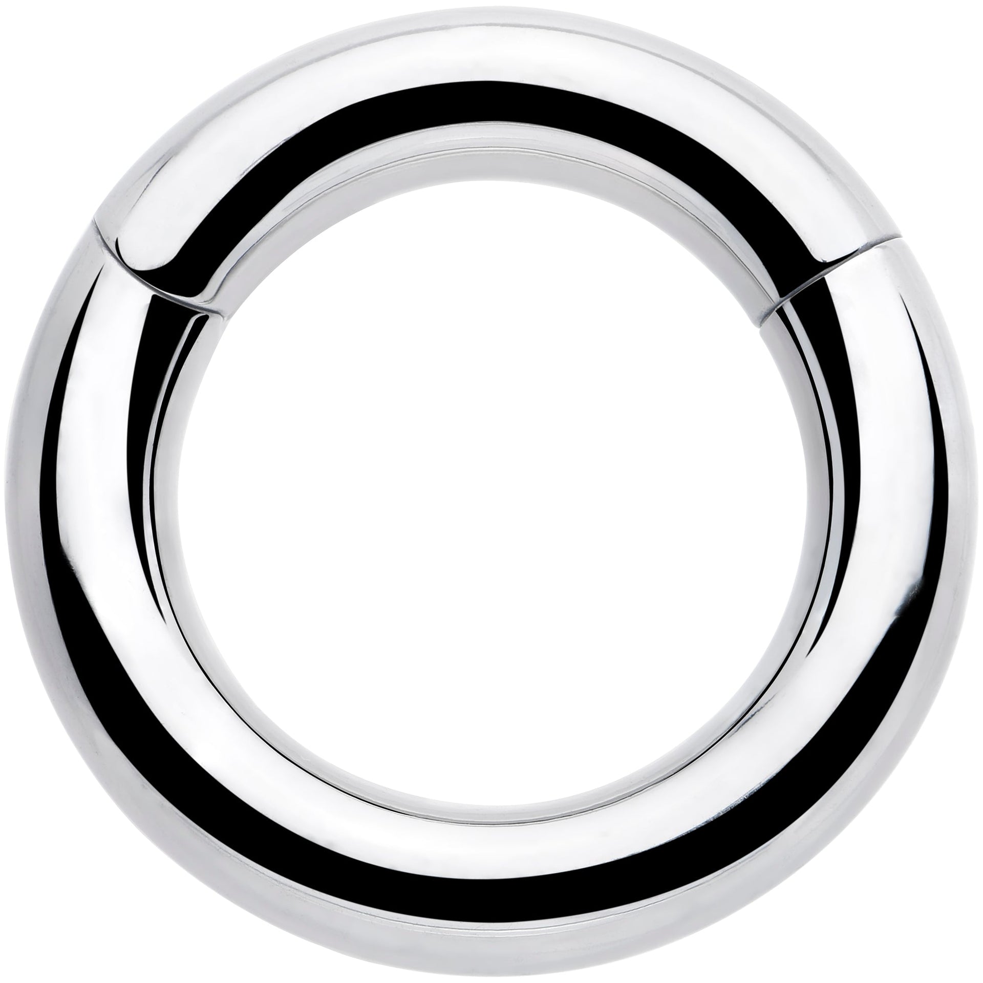 6G 9/16 316L Surgical Steel Precision Hinged Segment Hoop