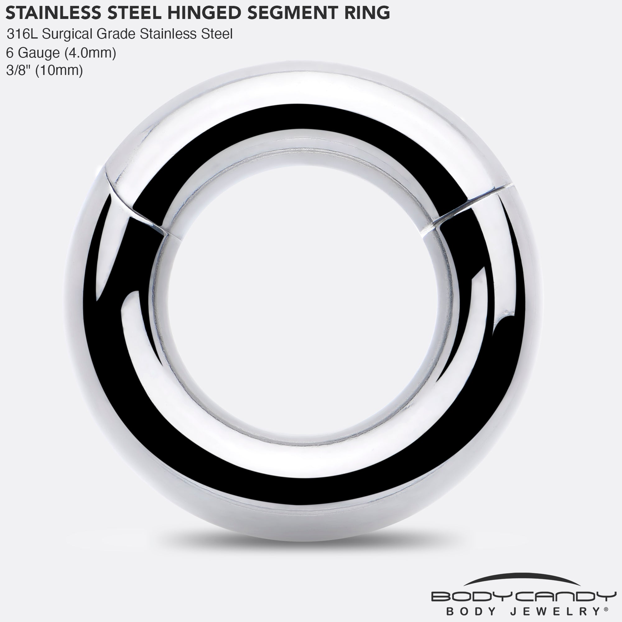 6G 3/8 316L Surgical Steel Precision Hinged Segment Hoop