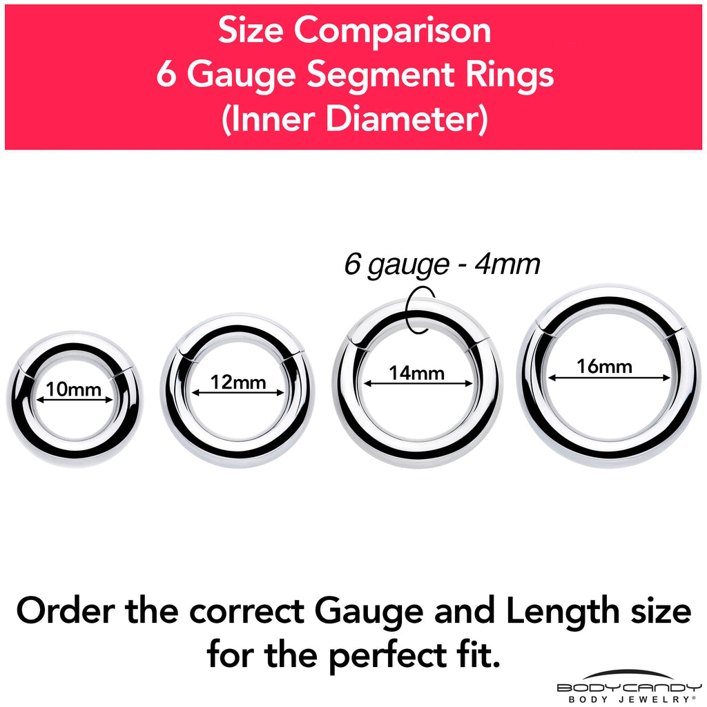 6G 3/8 316L Surgical Steel Precision Hinged Segment Hoop