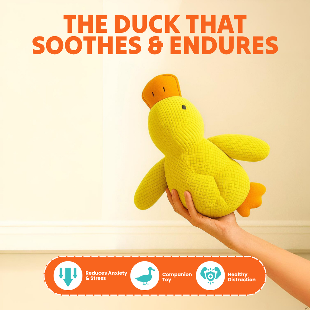 Paw Bounds™ Durable Calming Duck