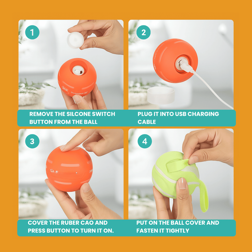 DOG’S INTERACTIVE BALL