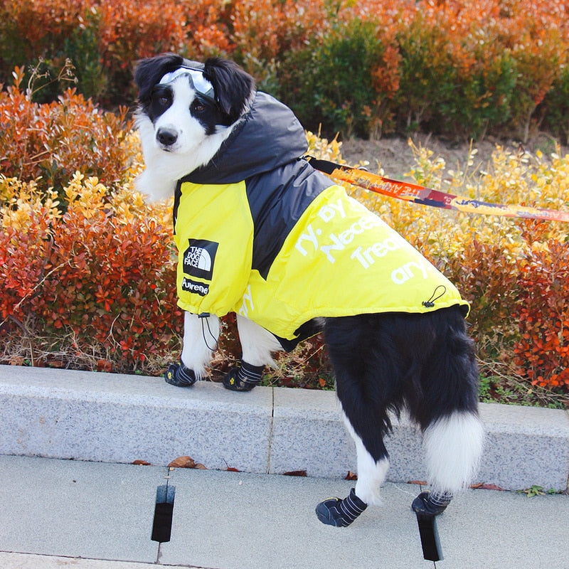 Yellow and Black Waterproof Dog Rain Jacket with Reflective Details - Image 18