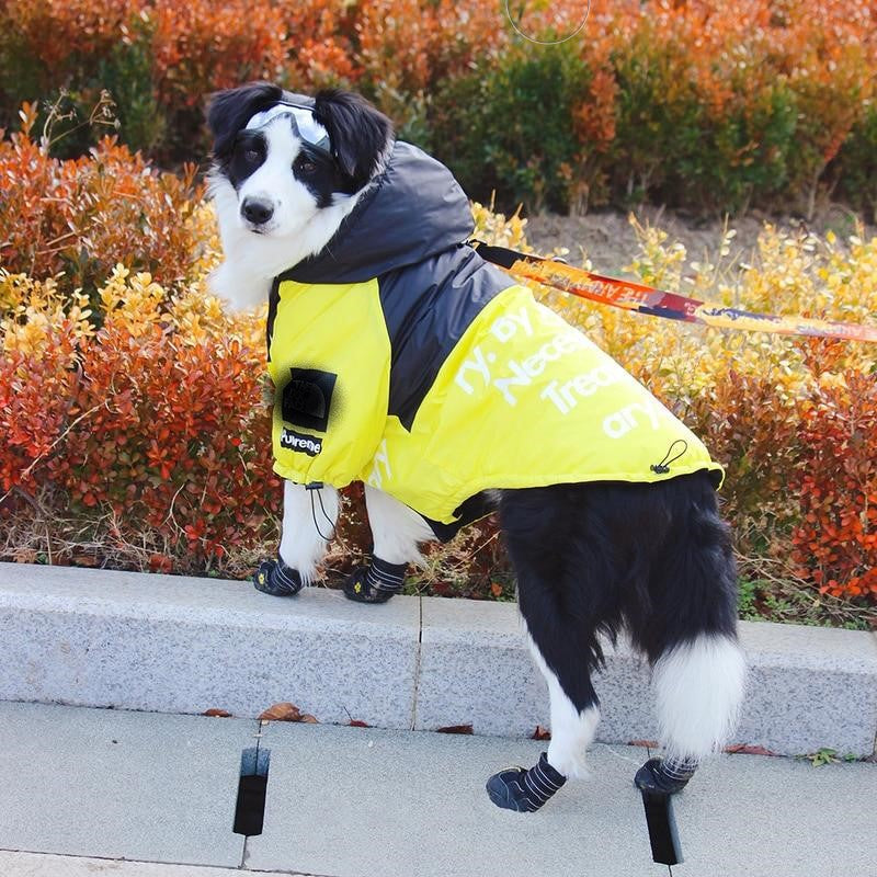 Yellow and Black Waterproof Dog Rain Jacket with Reflective Details - Image 12