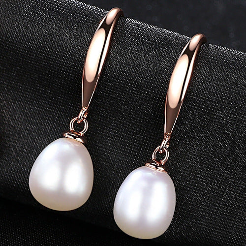 Elegant Ear Hook Earrings For Women