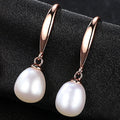 Elegant Ear Hook Earrings For Women