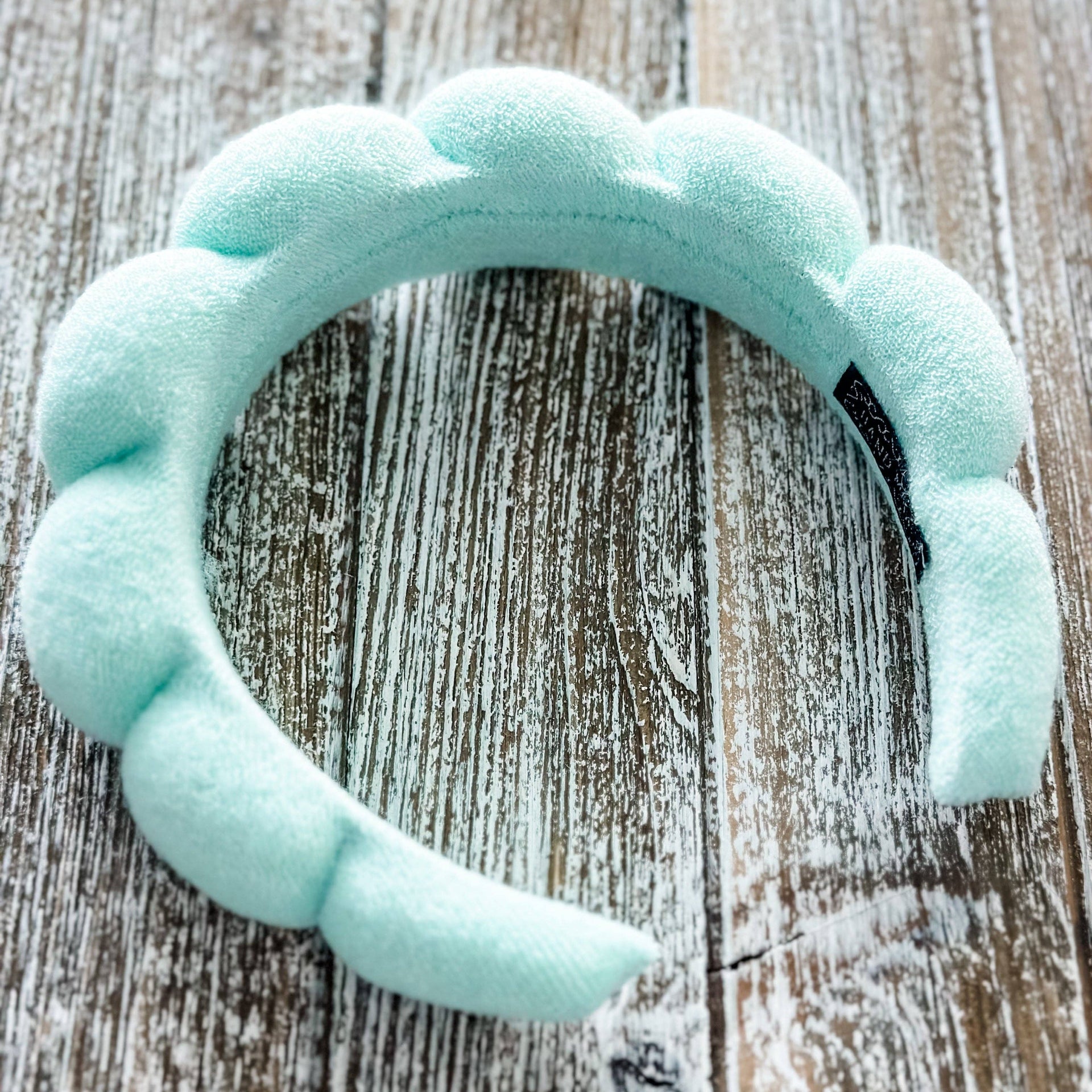 Sia Spa Headband in Mint