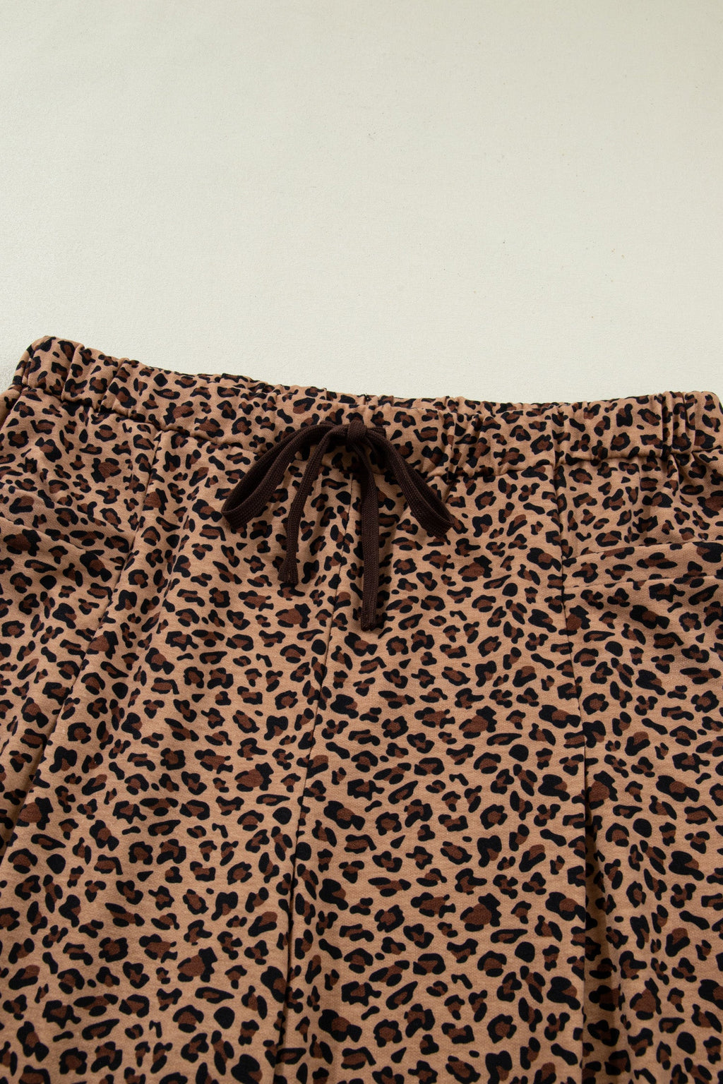 Leopard Print Short Sleeve Top and Pleated Pants Set
