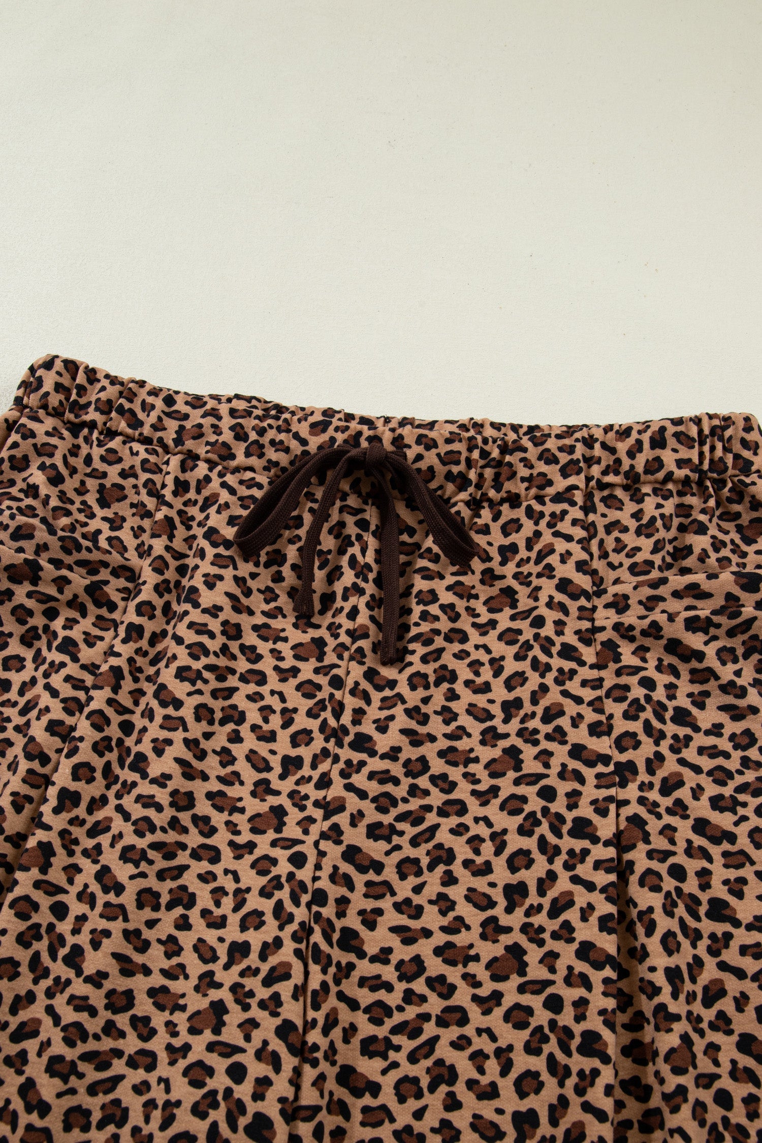 Leopard Print Short Sleeve Top and Pleated Pants Set