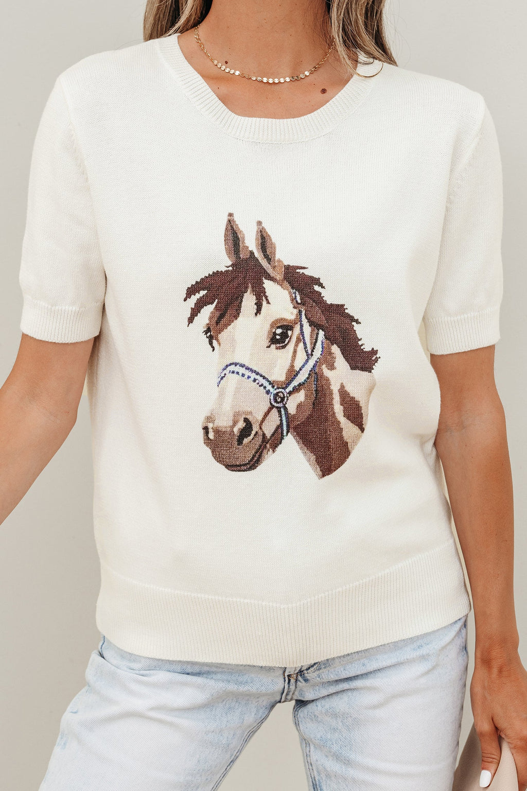 Regina Horse Graphic Short Sleeve Knit Sweater - Preppy Crew Neck