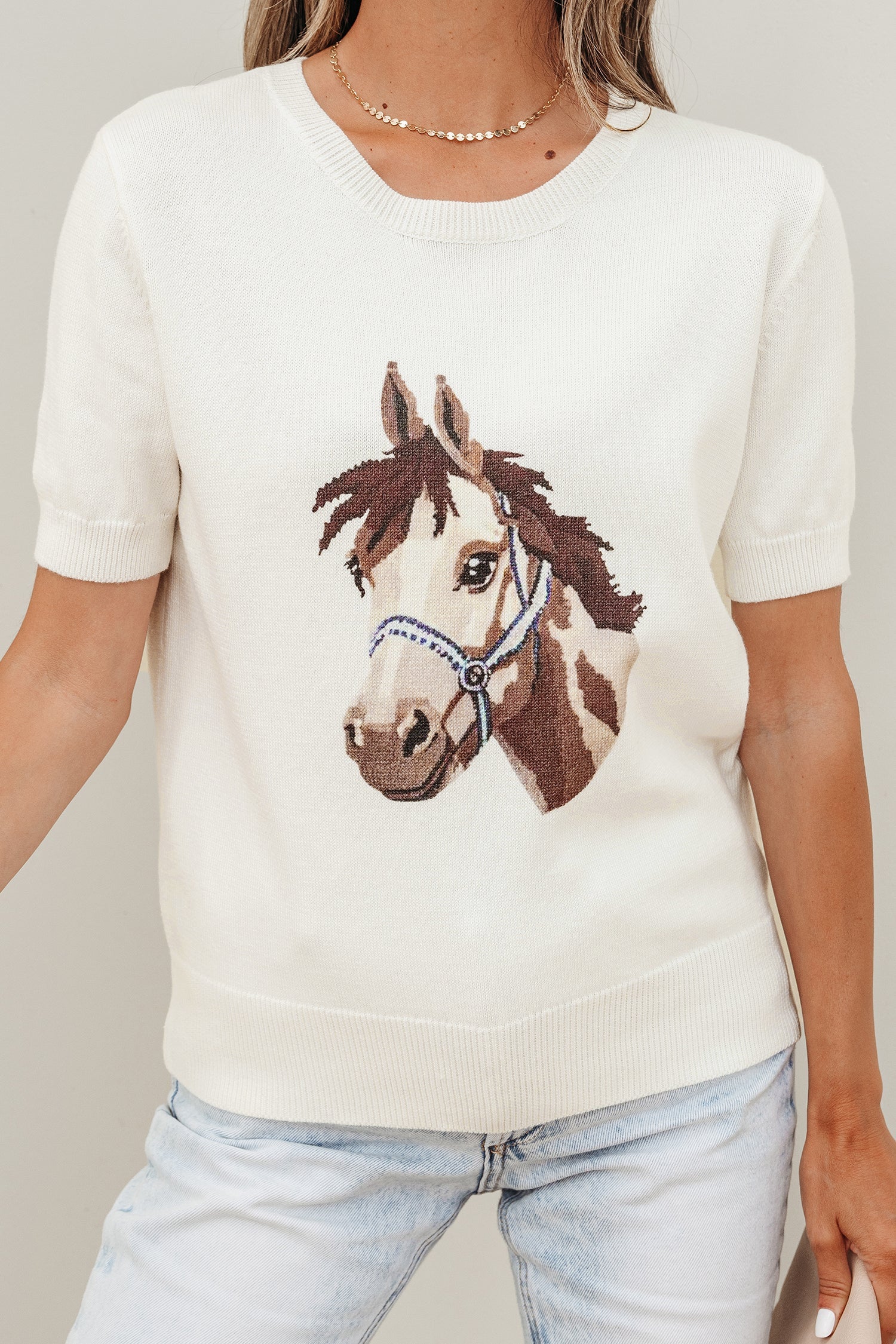 Regina Horse Graphic Short Sleeve Knit Sweater - Preppy Crew Neck