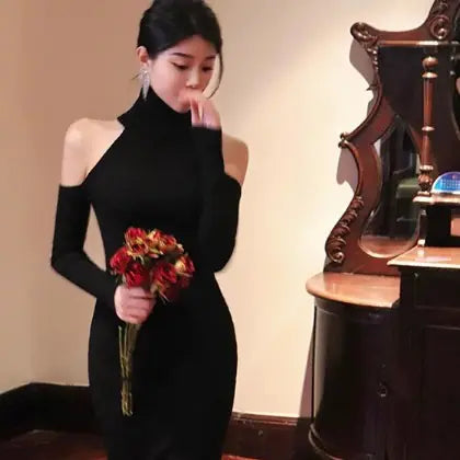 Women's High Collar Long Sweater Dress