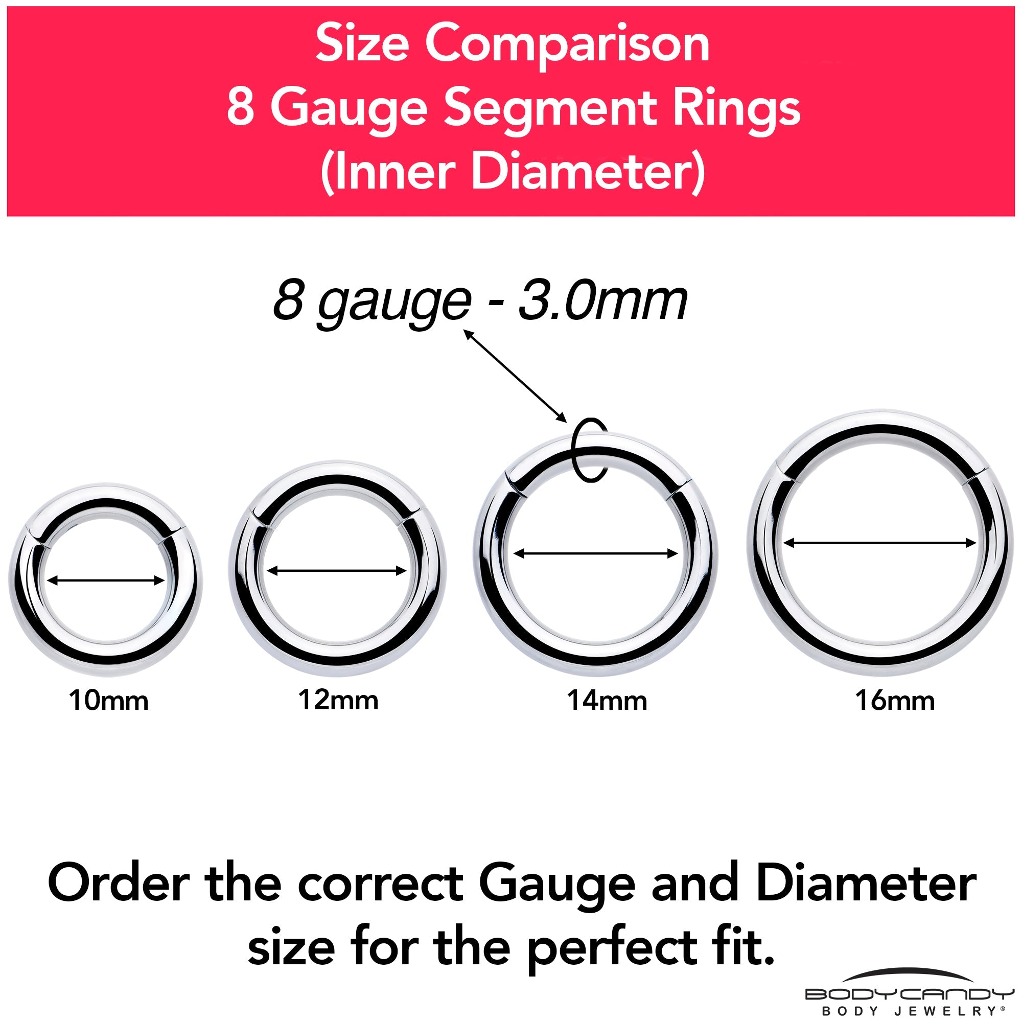 8G 5/8 316L Surgical Steel Precision Hinged Segment Hoop