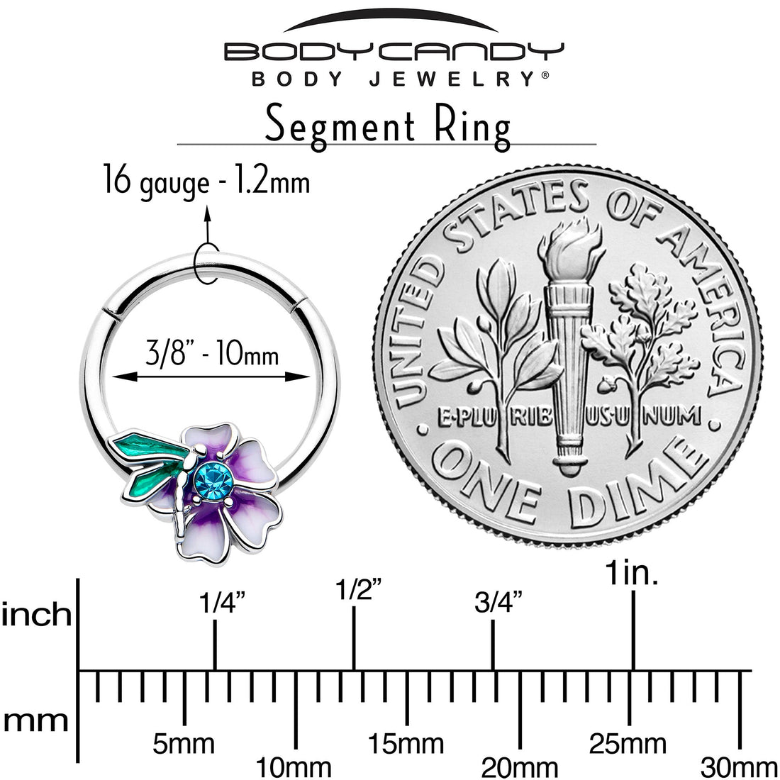 Purple Flower Faerie Hinged Segment Ring 16G Septum Hoop - Image 4