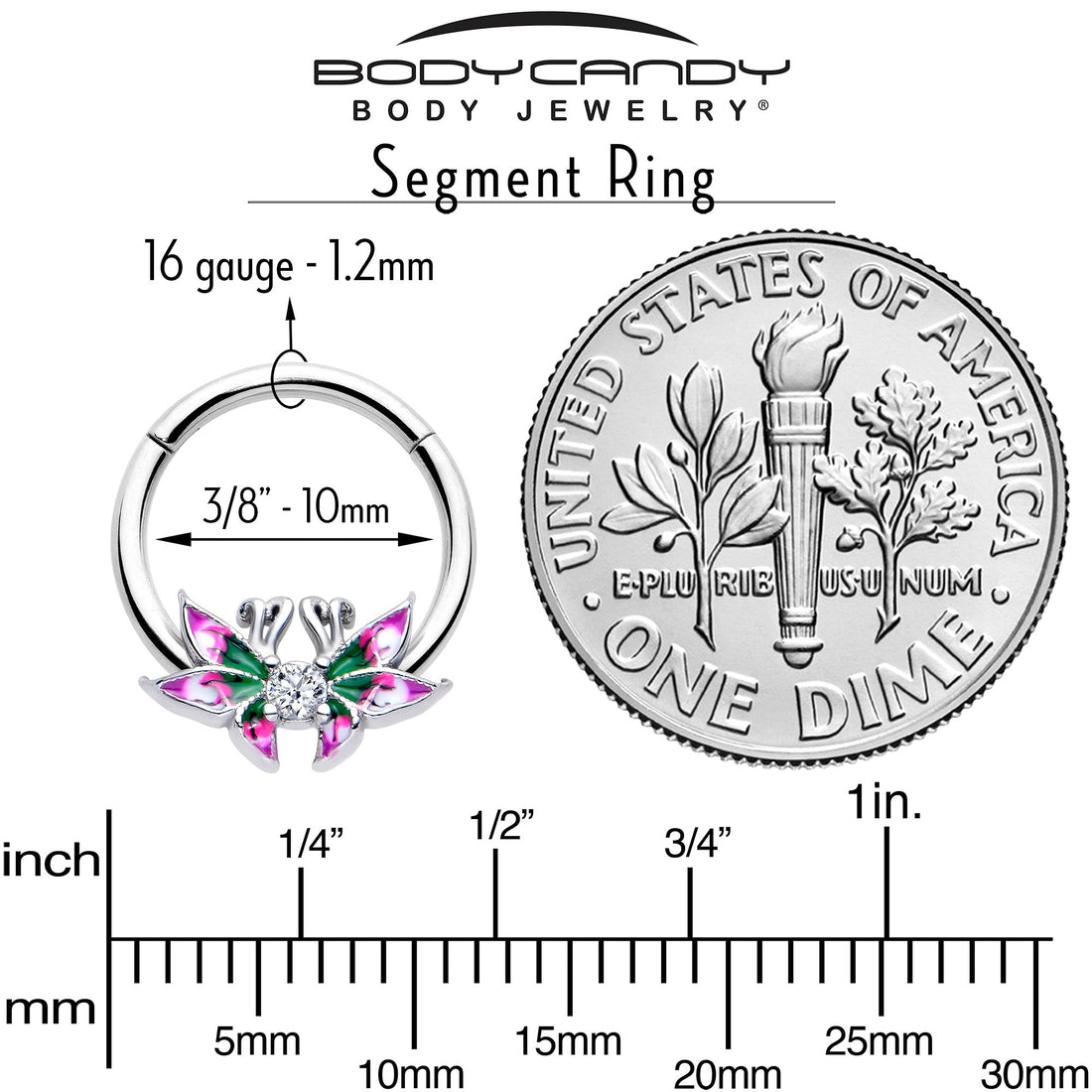 16G 3/8 Clear CZ Gem Profile Butterflies Hinged Segment Ring