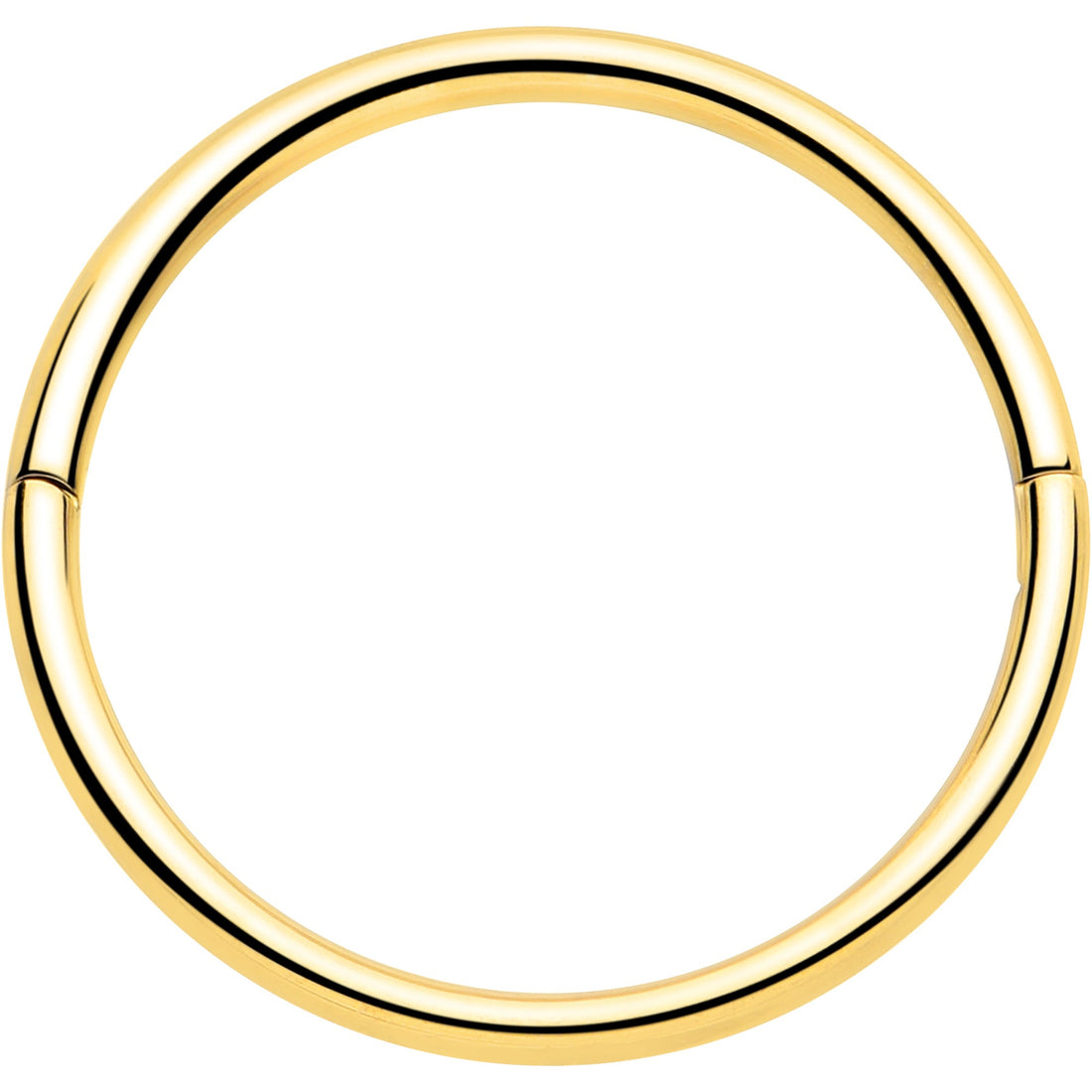 20G Implant Grade Titanium Half Closure Hinged Segment Ring