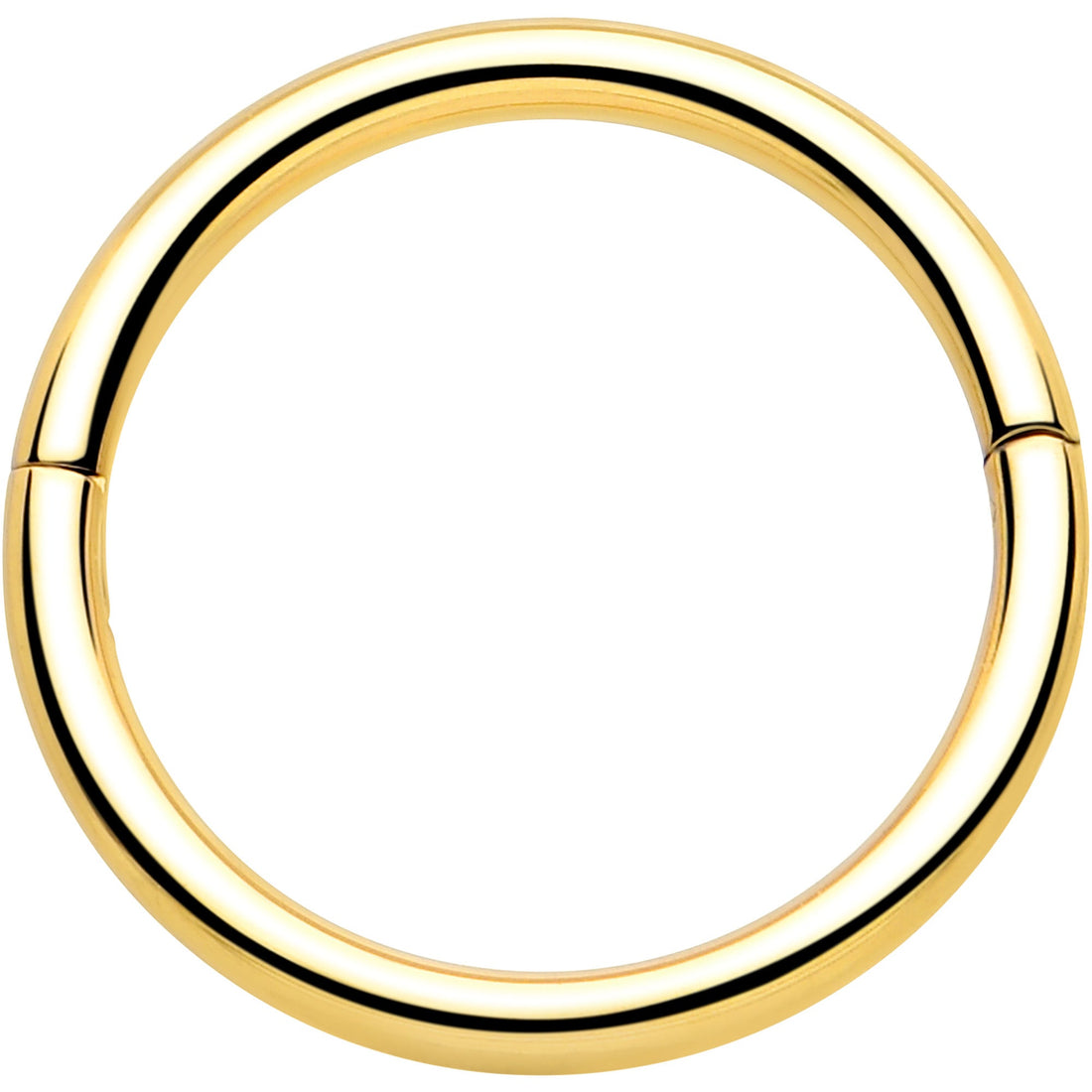 20G Implant Grade Titanium Half Closure Hinged Segment Ring