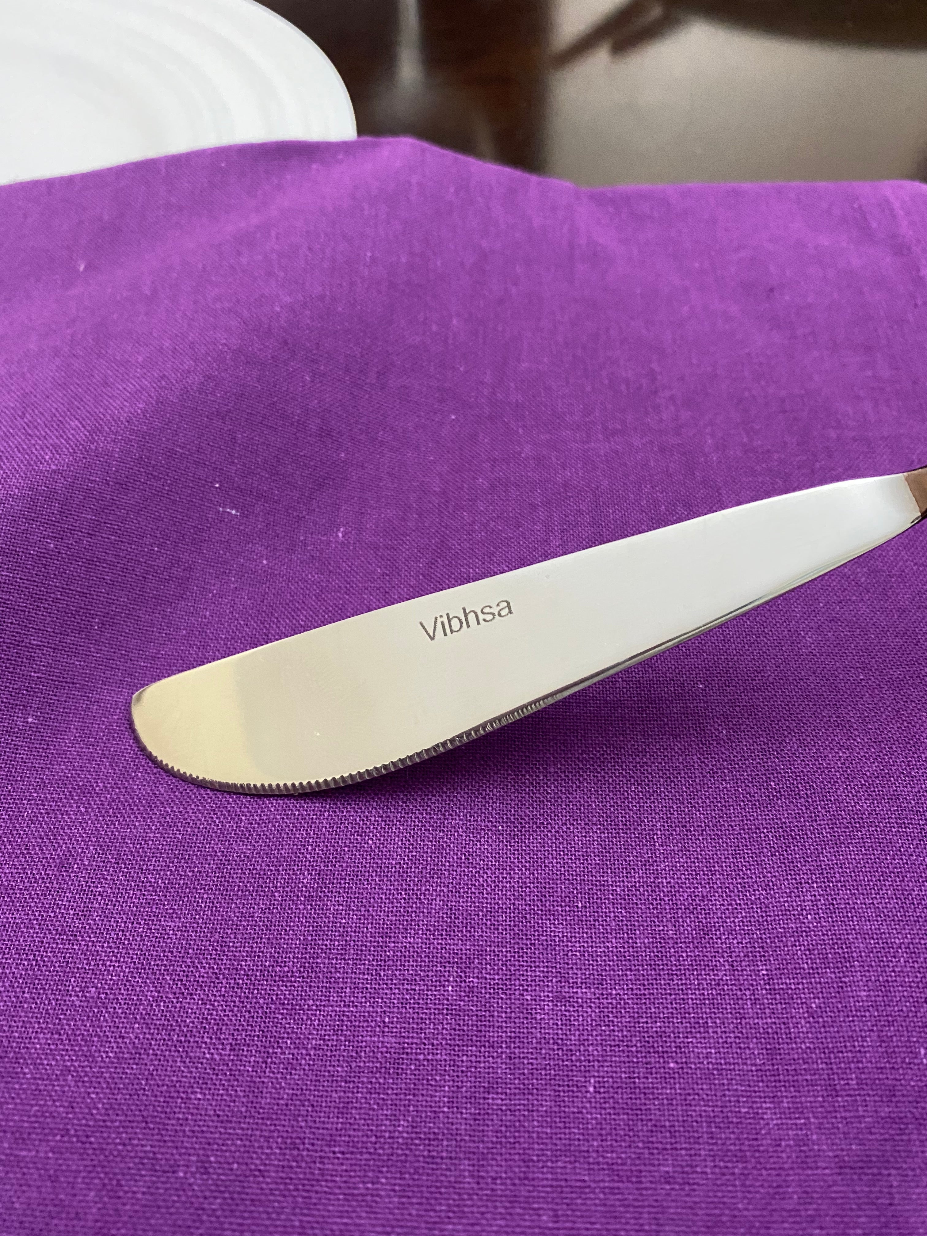 Stainless Steel Dinner Knives Set of 6 Pieces