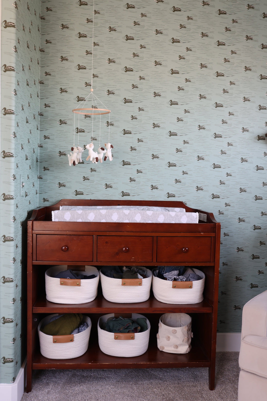 Mallard Wallpaper by Cassandra Zaniboni Removable Peel and Stick