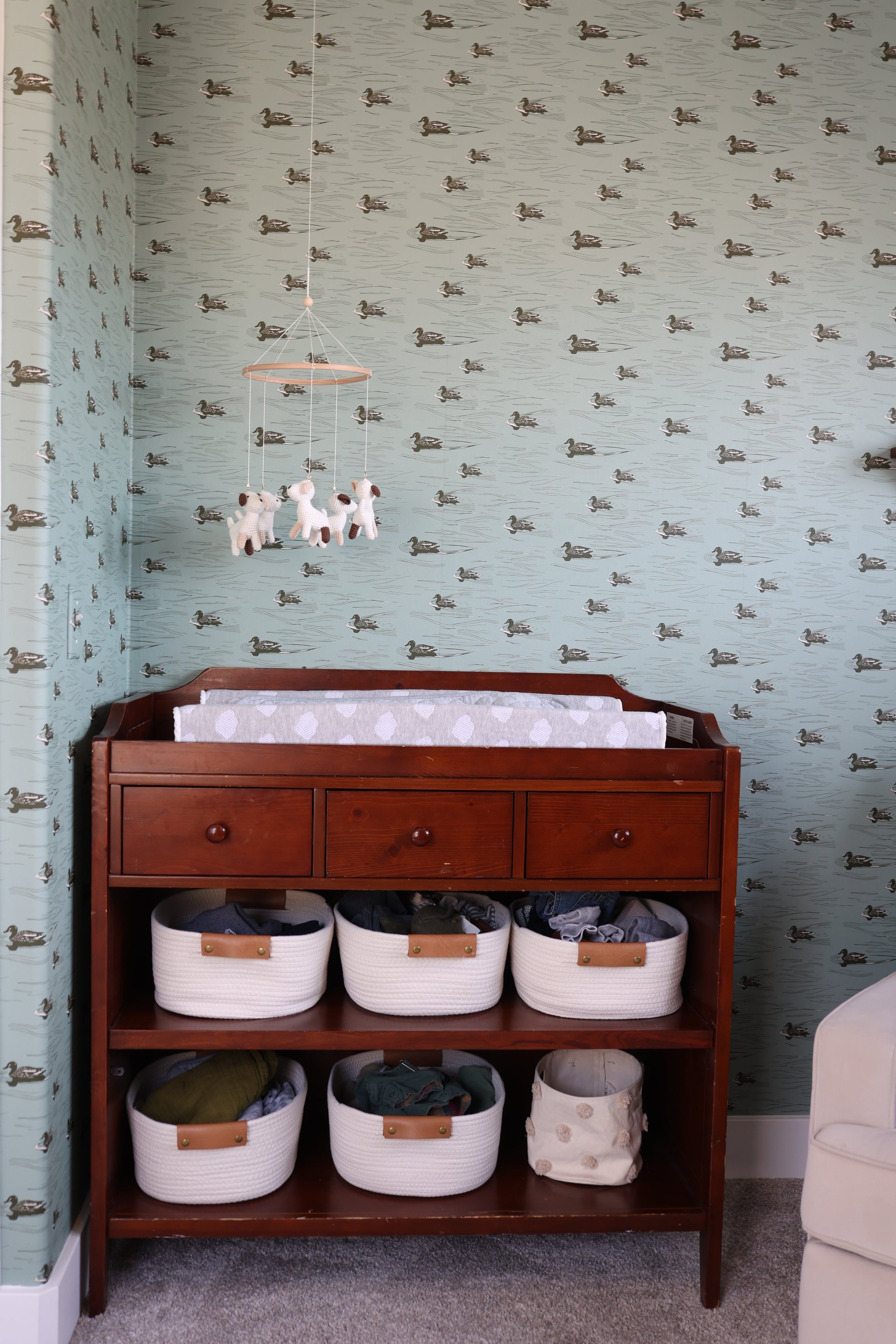 Mallard Wallpaper by Cassandra Zaniboni Removable Peel and Stick