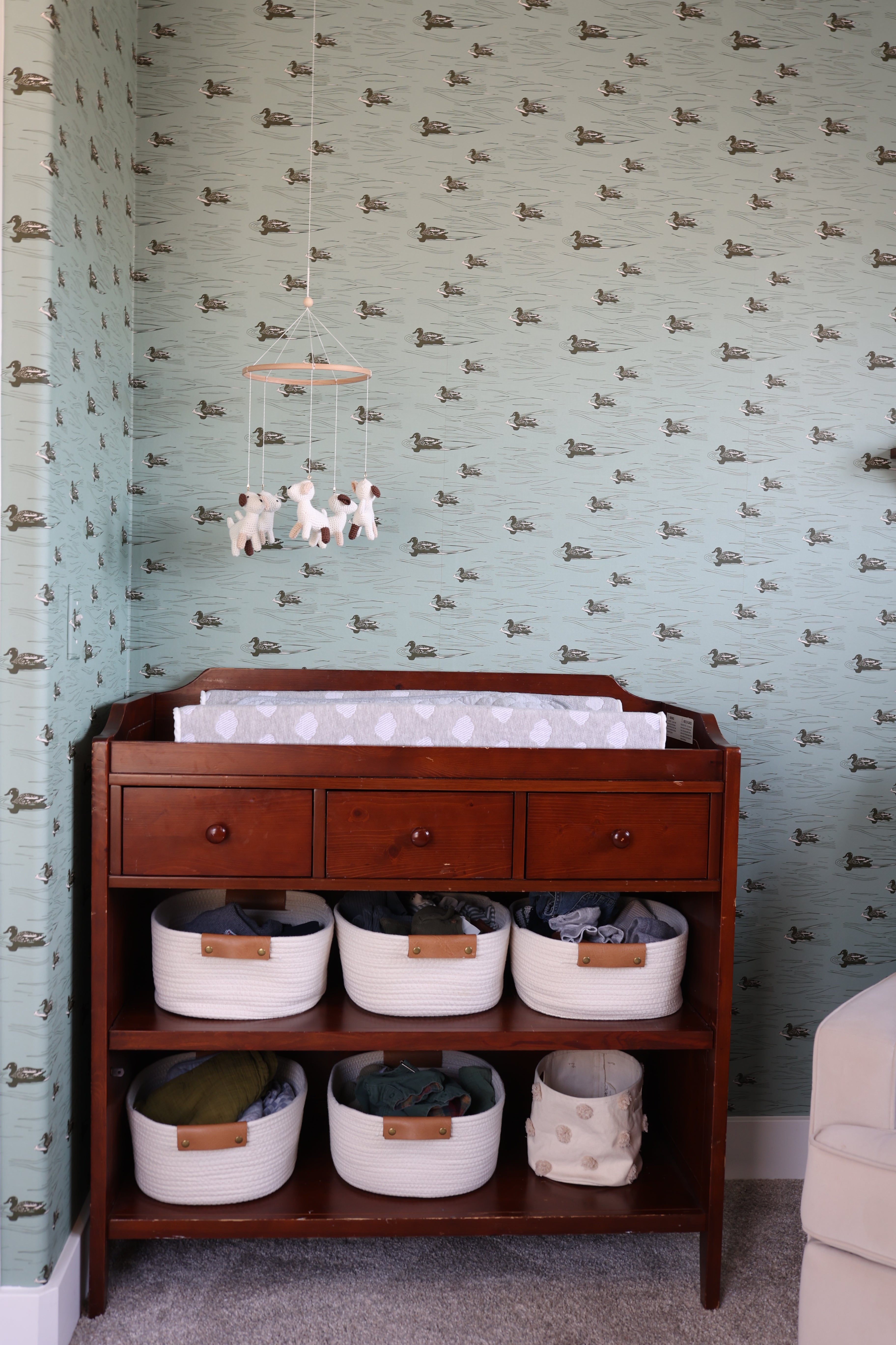 Mallard Wallpaper by Cassandra Zaniboni Removable Peel and Stick