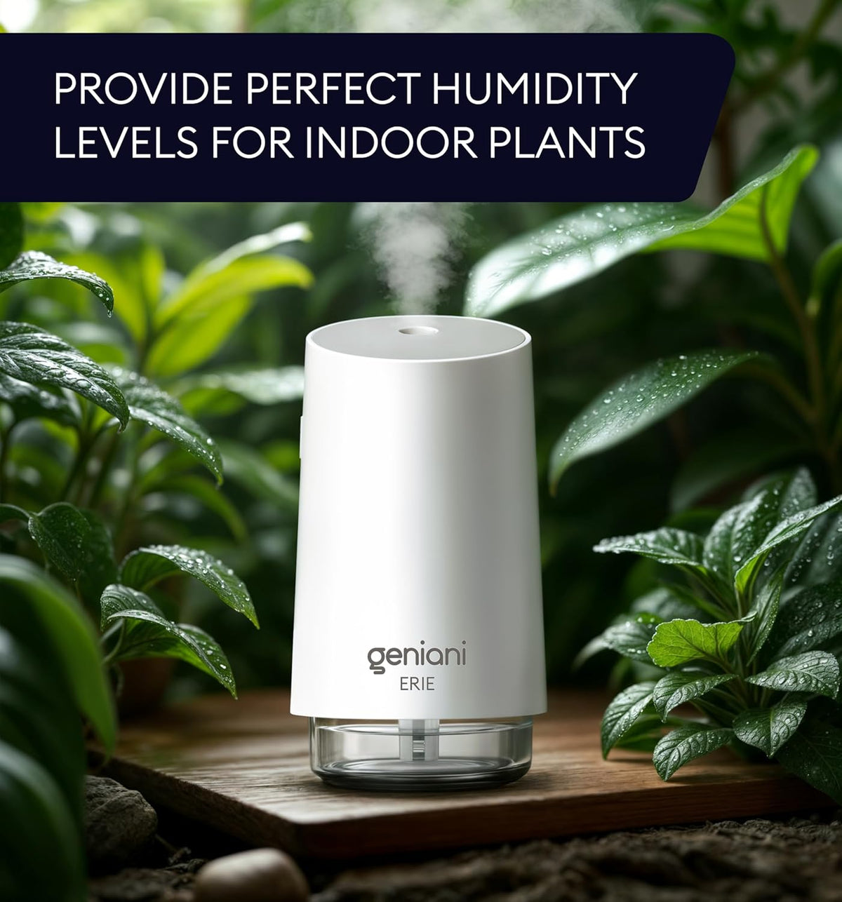 Humidifier Erie 250ML, White