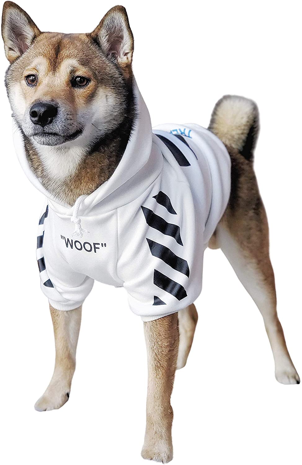 A dog wearing a stylish white streetwear-inspired dog hoodie with the text WOOF printed on the chest