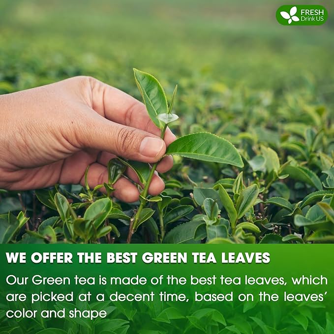 FreshDrinkUS, Premium 210 Green Tea Bags, 100% Natural & Pure from Green Tea. Green Herbal Tea. Made with Natural Material Tea Bags. No Sugar, No Gluten, Vegan.