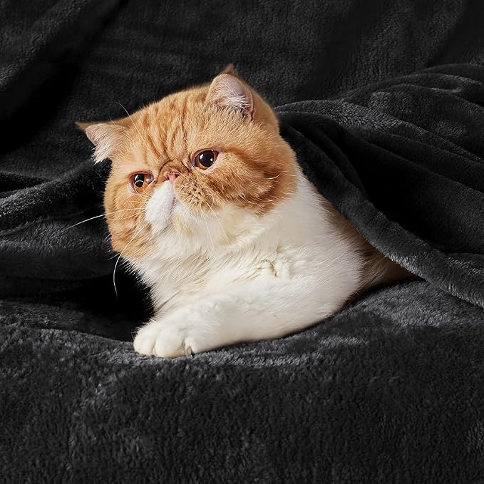 Bedsure Fleece Blanket California King Size Black - Lightweight Plush Fuzzy Cozy Soft Bed Blankets, 102x96 inches