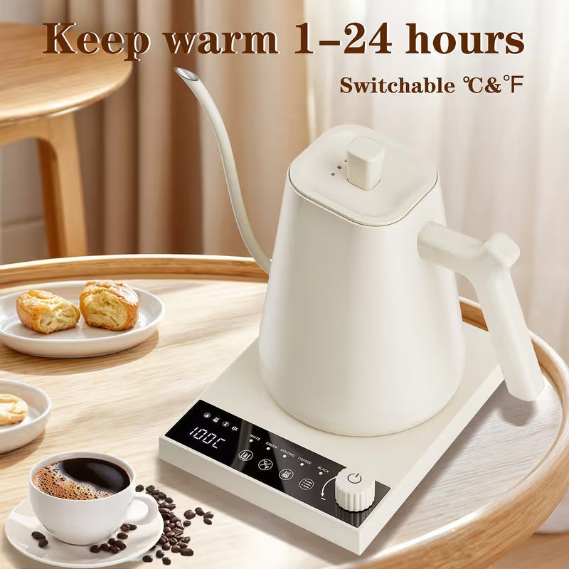 0.6-Liter Gooseneck Electric Kettle with Precision Temperature Control