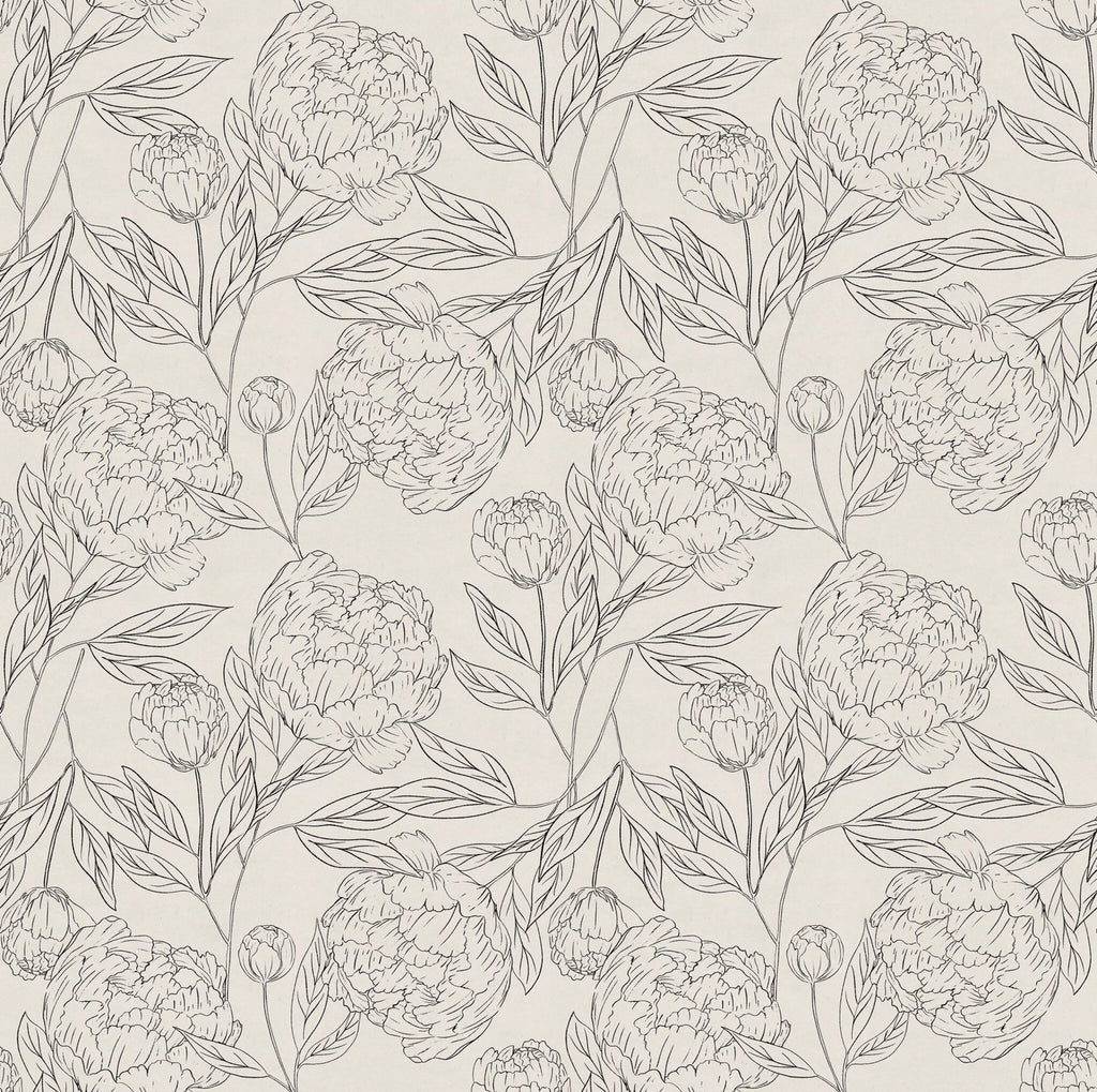 Farrah Modern Farmhouse Floral Wallpaper in Charcoal and Cream