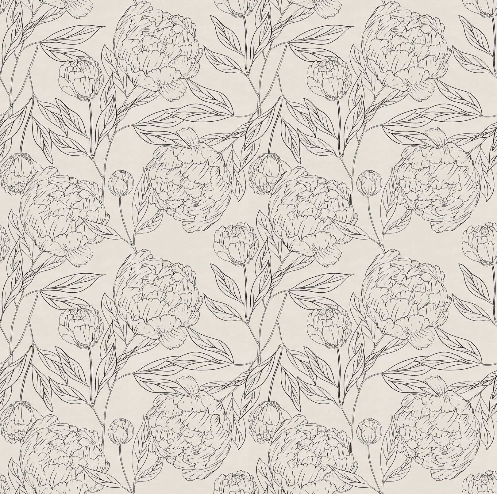 Farrah Modern Farmhouse Floral Wallpaper in Charcoal and Cream