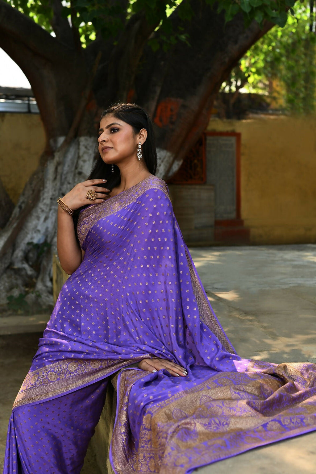 Lavender Crepe Chiffon Banarasi Silk Saree - Pure Handloom