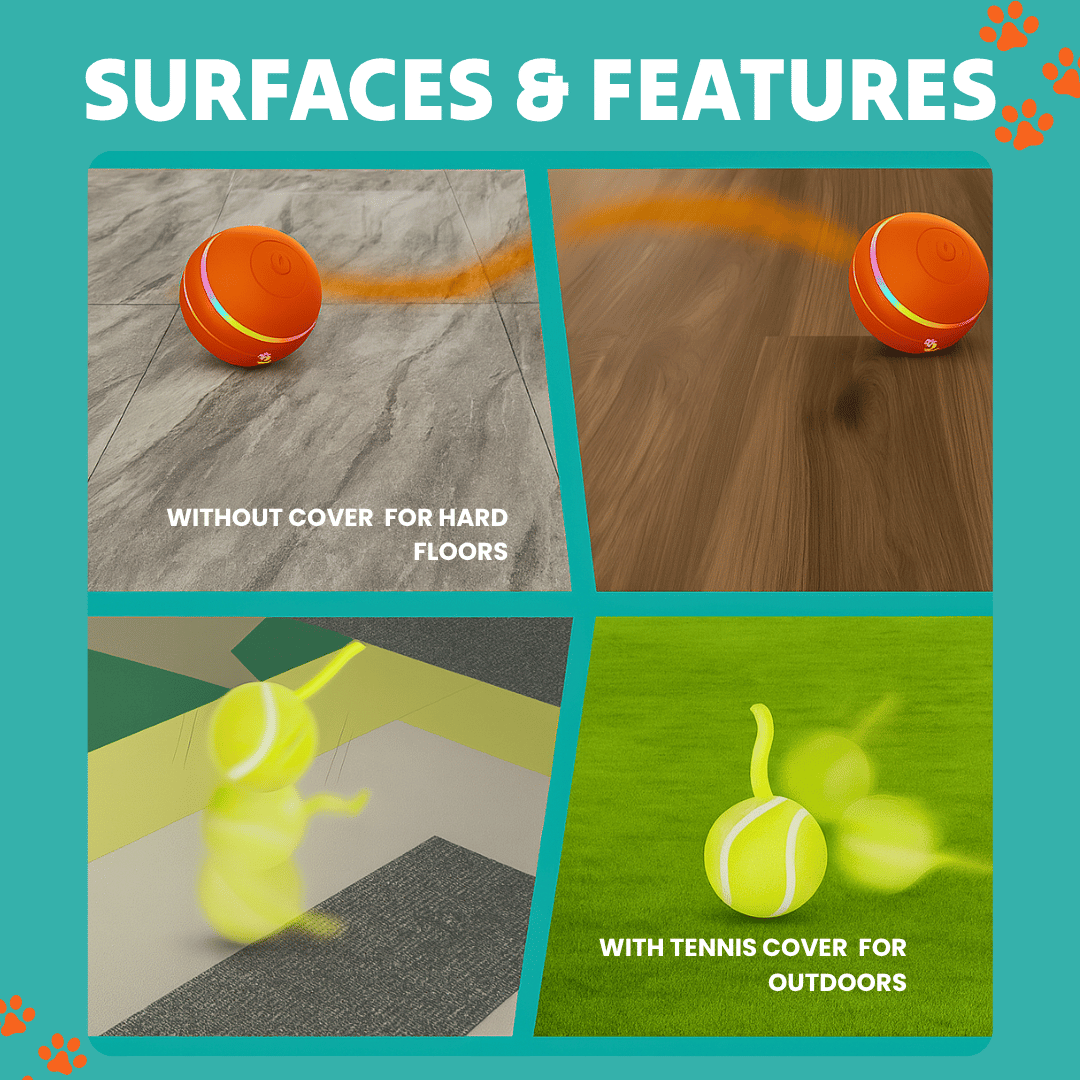 DOG’S INTERACTIVE BALL