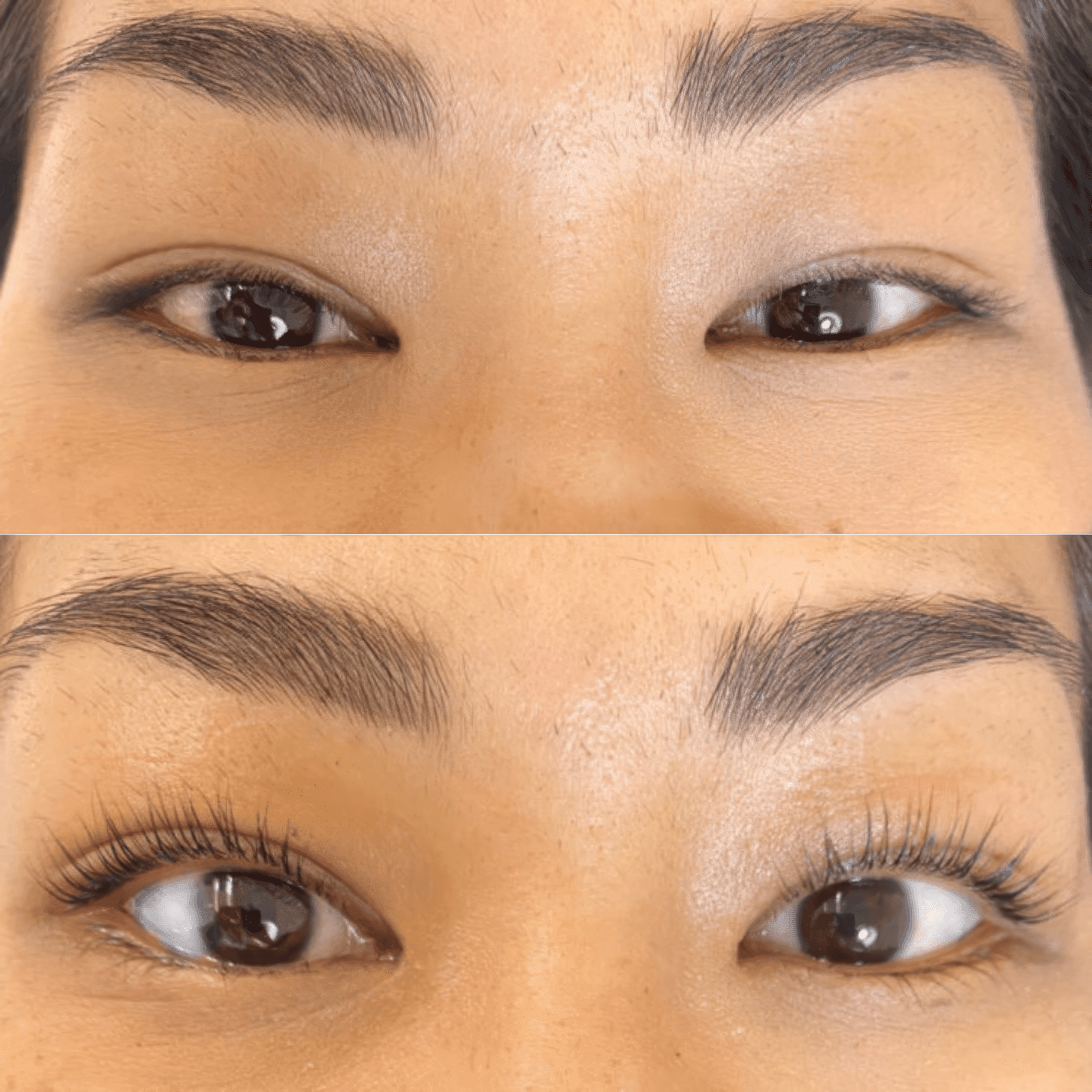 Luxe Lashlift Set Professional Home Lash Lift Kit BOGO