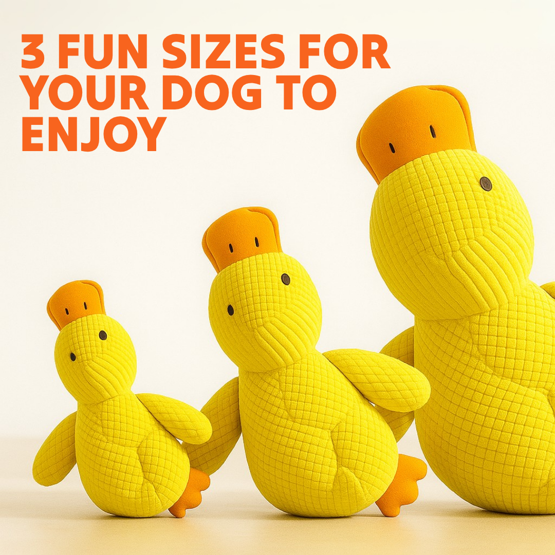 Paw Bounds™ Durable Calming Duck