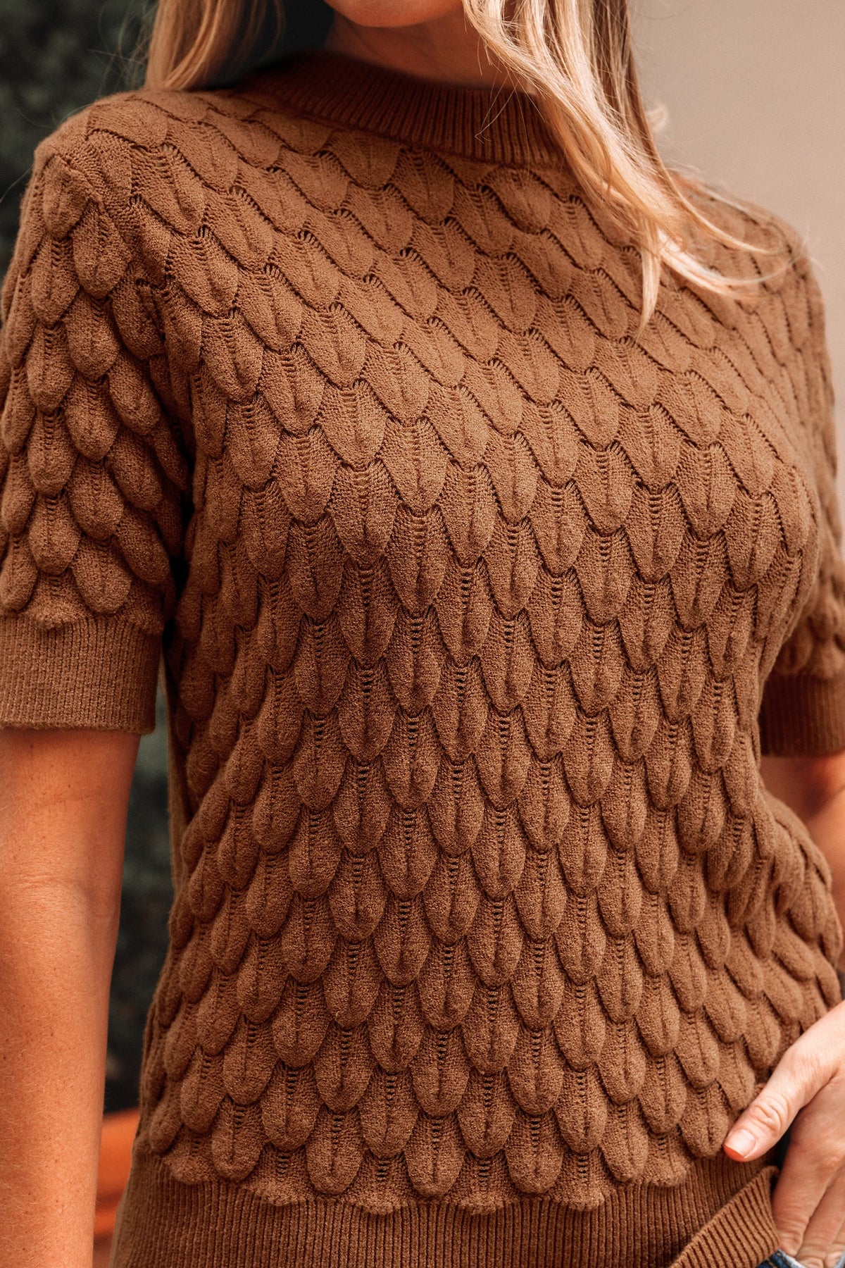 Fish Scale Textured Knit Short Sleeve Sweater