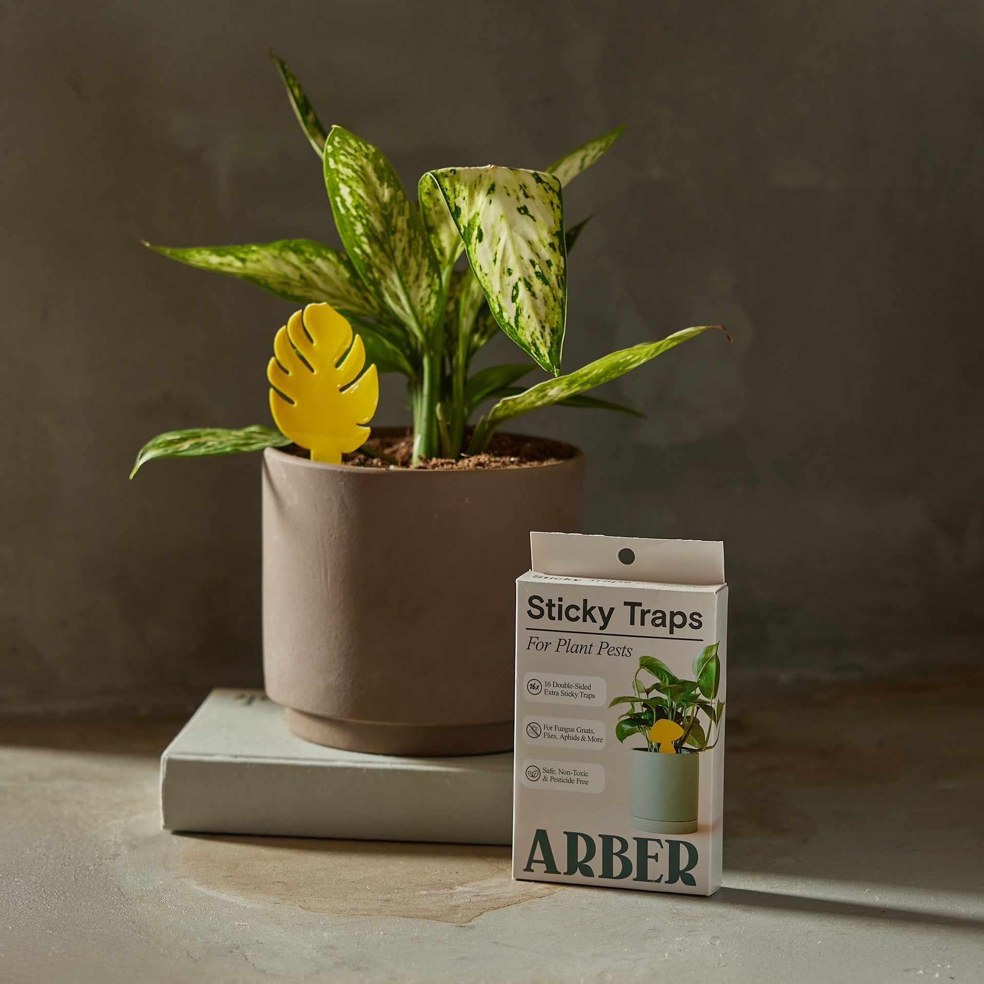 Sticky Traps for Plant Pests | Chemical-Free Pest Control | House Plant Shop