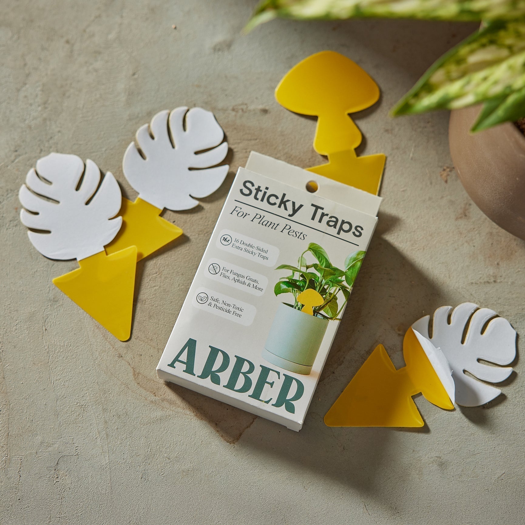 Sticky Traps for Plant Pests | Chemical-Free Pest Control | House Plant Shop