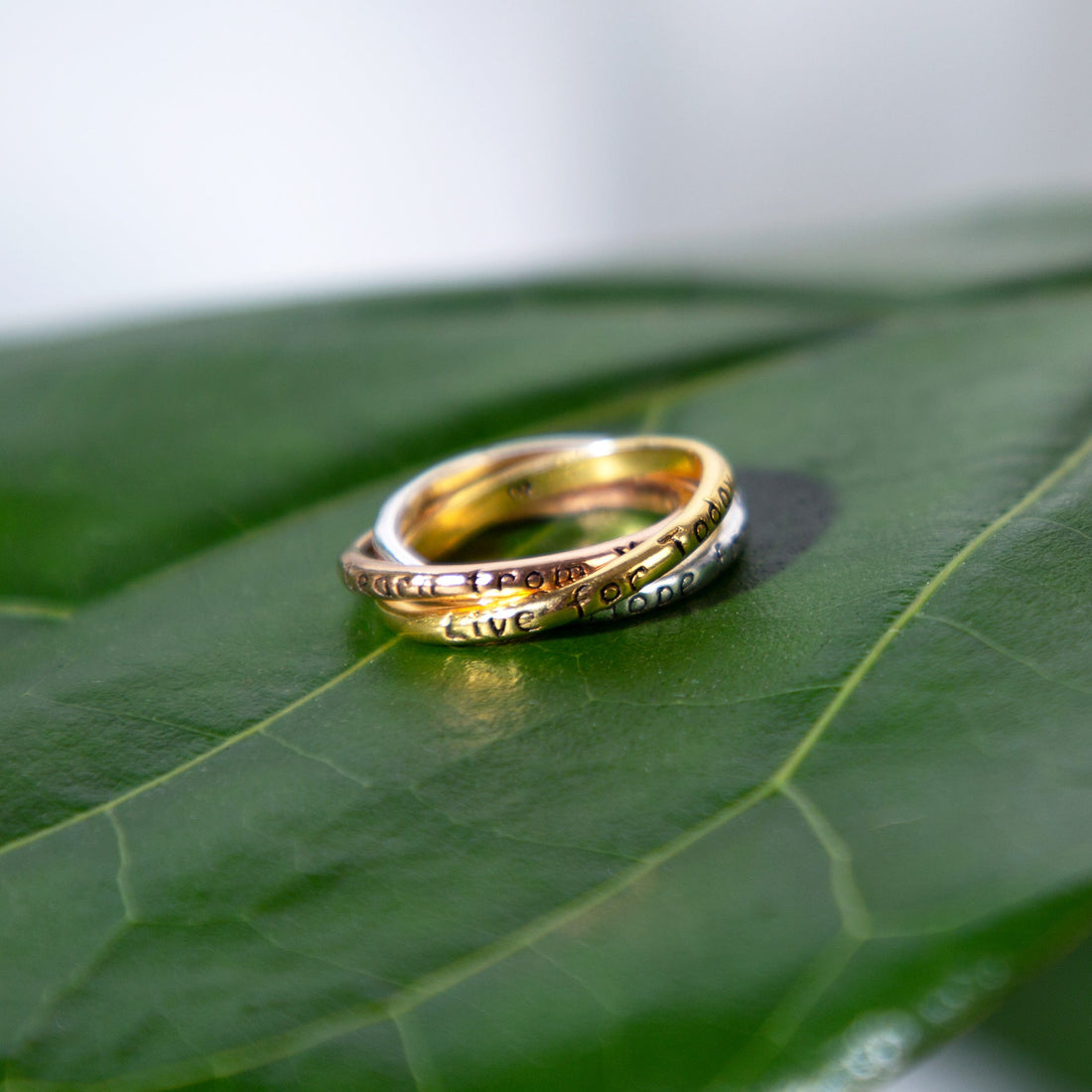 Daily Reminder Trio Fidget Ring