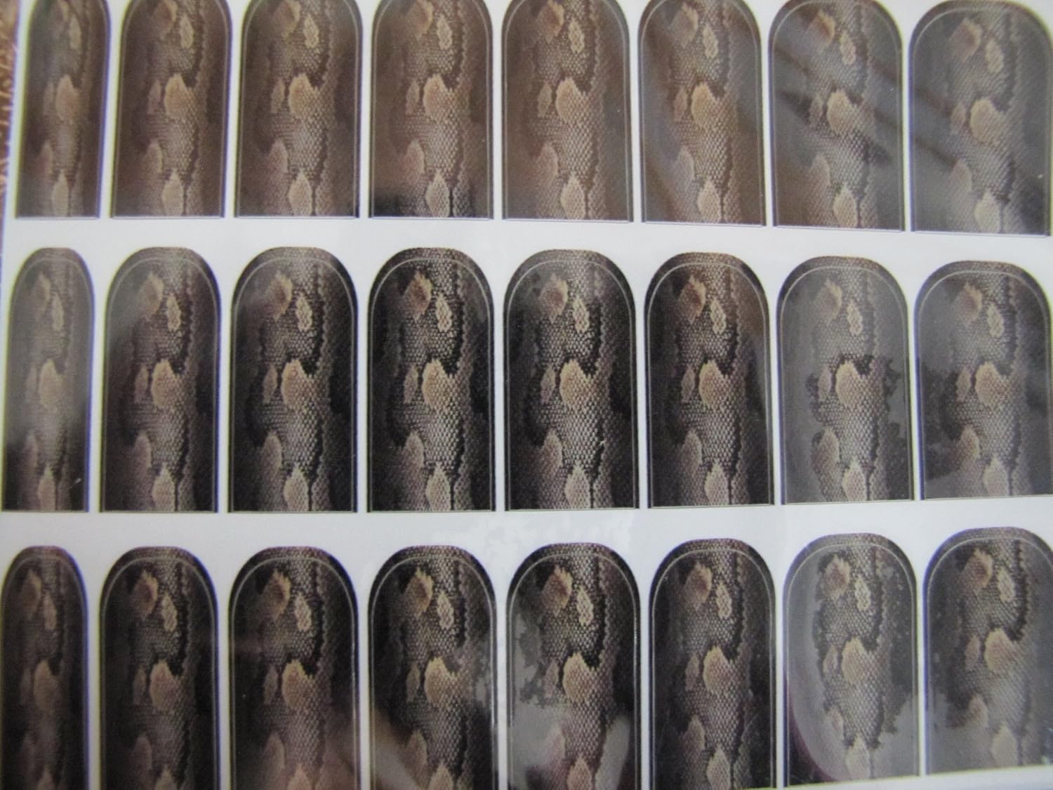 Set of 24 brown and black snake skin pattern nail decals for manicure art