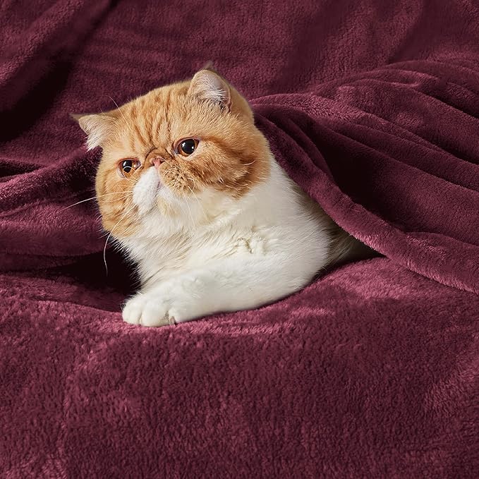 Bedsure Fleece Blanket Twin Size Burgundy - 300GSM Lightweight Plush Fuzzy Cozy Soft Warm Blanket for Bed, Sofa, Couch, Travel, Camping, 60x80 inches
