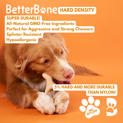 Dog chewing on a toy with BetterBone Hard Density branding and product features on an orange background.
